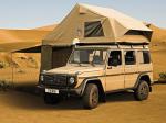 Mercedes-Benz G300 CDI Professional 2010 года